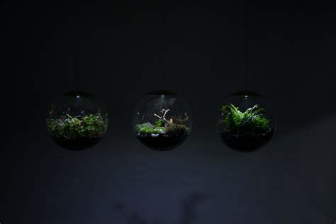 These amazing terrarium lamps grow plants in even the darkest rooms