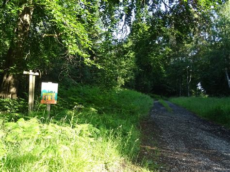 Track Into Hovingham High Wood © Jthomas Geograph Britain And Ireland