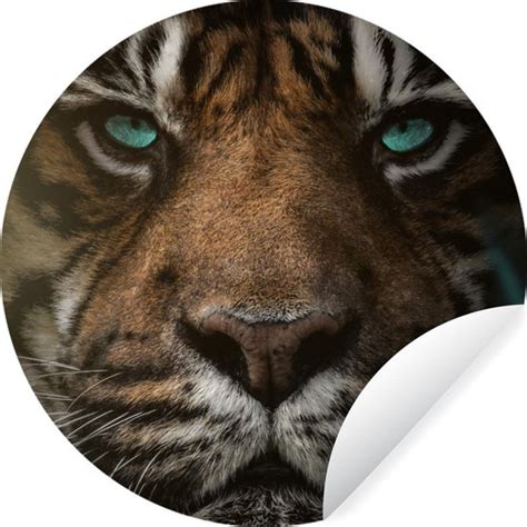 Wallcircle Muurstickers Behangcirkel Jungle Tijger Wilde