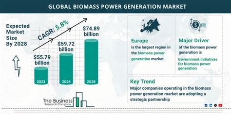 Global Biomass Power Generation Market Size And Growth Infographic