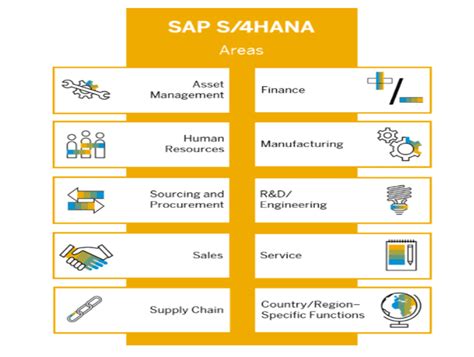 The Sap S Hana System And Digital Transformation