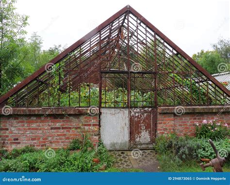 Plantas Que Crescem Em Estufa Antiga Sem Janela De Vidro Imagem De