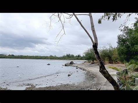 WORLD WETLANDS PARK LAS PIÑAS PARAÑAQUE YouTube