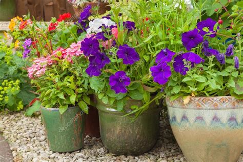 Colorful Potted Plants In Garden Corner Stock Photo Doethion 76474107