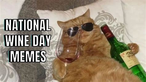 30 Best National Wine Day Memes To Uncork Fun In 2024