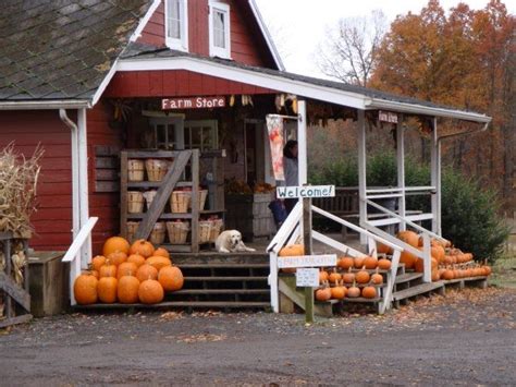 This Is The Farm Right By My House They Have The Best Apple Cider