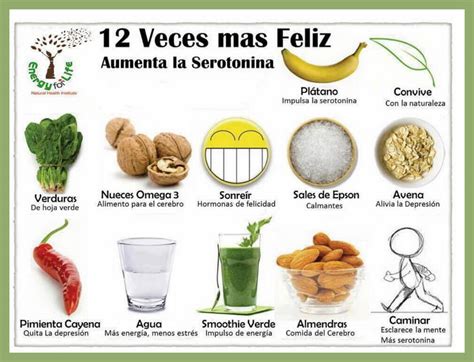 Alimentos Que Aumentan La Serotonina