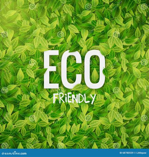 Eco Friendly Banner With Leaves Vector Illustration Stock Vector