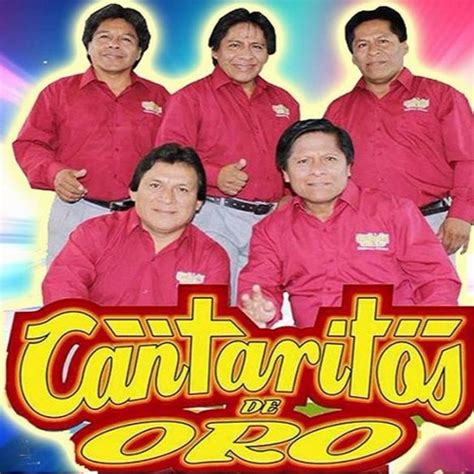 Listen To Playlists Featuring MIX LAMBADAS CANTARITOS DE ORO 2016 By