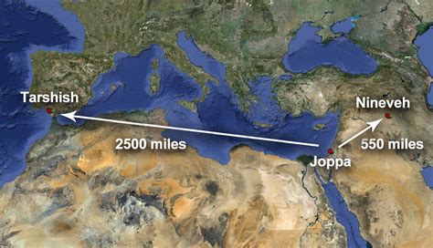 Jonah The Angry Prophet Doctrine Org