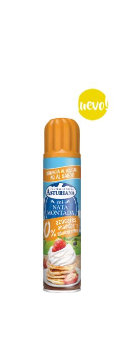 Nata En Spray 500 G Central Lechera Asturiana