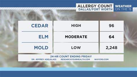 Allergy Dallas Fort Worth Spectrum News 1