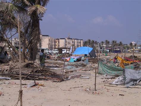 Tamil Nadu After The Tsunami Theonearmedcrab