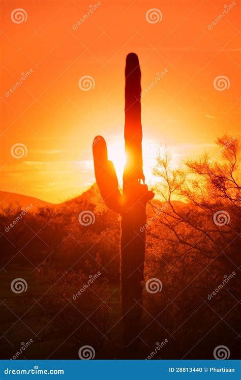 Red sky sunset in desert stock photo. Image of evening - 28813440