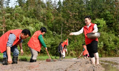 杰村乡和平村：党建引领助春耕 不负农时不负春 兴国县信息公开