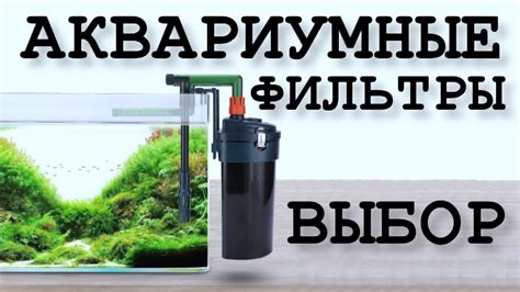 Рекомендации по выбору фильтра для аквариума от проФФессионалов - YouTube