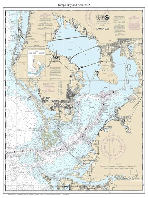 Amazon Tampa Bay And Area 2015 Nautical Map Florida Custom Print