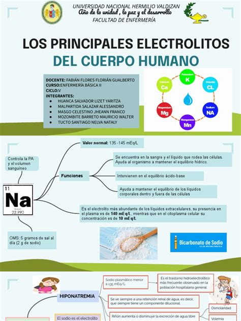 Los Principales Electrolitos En El Cuerpo Humano Pdf Potasio Química