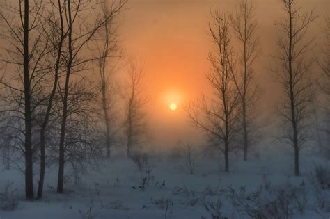 Wallpaper Sunlight Landscape Forest Snow Winter Sunrise Cold