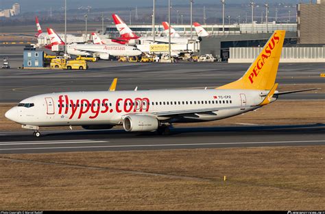 TC CPZ Pegasus Boeing 737 8H6 WL Photo By Marcel Rudolf ID 1254434