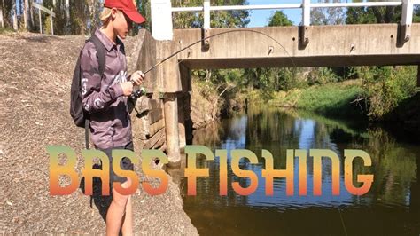 Bass Fishing Bridges New Creek Youtube