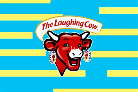 Laughing Cow Cheese Flavors The Kitchn