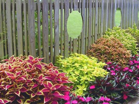 Late-Summer Color for the Garden | HGTV