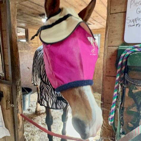 Nag Horse Ranch Full Face Shade With Sheepskin And Ears Etsy