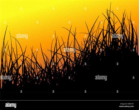 Green Vector Grass Background Stock Vector Image And Art Alamy