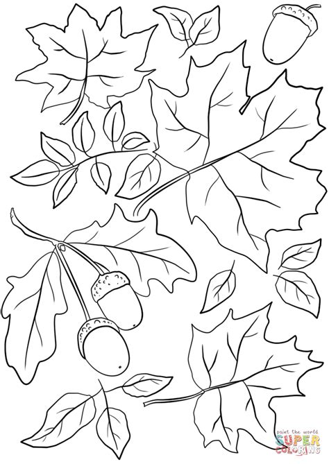 Autumn Leaves Colouring Pages Free at netpaulblog Blog