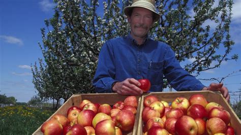 Breeding Apples At The University Of Minnesota Fruit Growers News