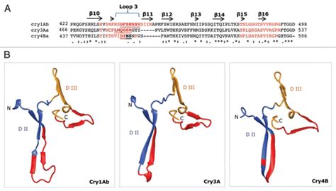 Full Article Bacillus Thuringiensis