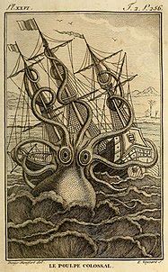 Kraken - Wikipedia