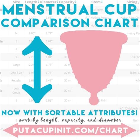 Cup Size Comparison Chart