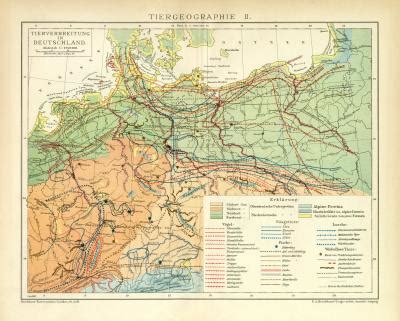 Tierverbreitung Im Deutschen Reich Deutschland Historische Karte 1907