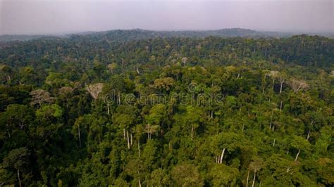 Aerial View of the Kakum National Park in Cape Coast, Ghana Stock Photo ...