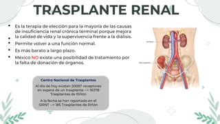 Terapia De La Sustituci N Renal Di Lisis Y Hemodialisis Pdf