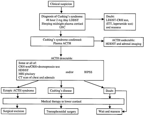 A Diagnostic Approach To The Diagnosis And Differential Diagnosis Of Download Scientific