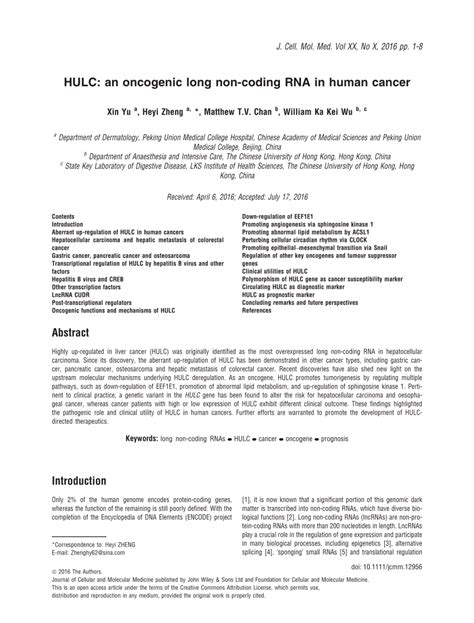 PDF HULC An Oncogenic Long Non Coding RNA In Human Cancer