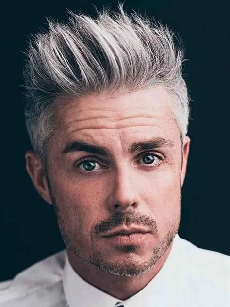 Silver Shades Styles And Haircuts For Gray Hair For Men 15 Ideas