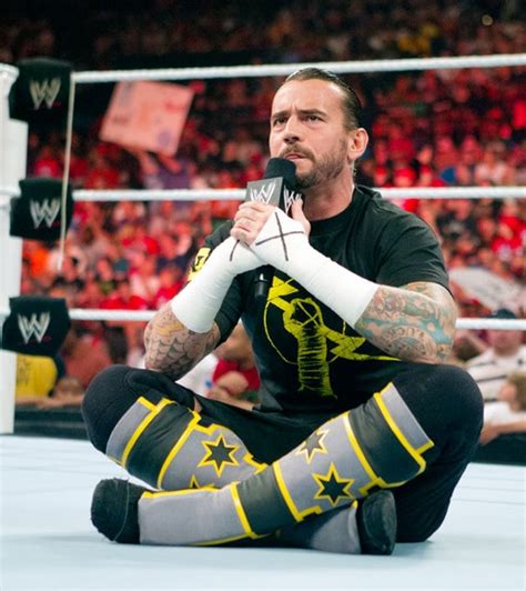 Cm punk, Wrestling superstars, Professional wrestling