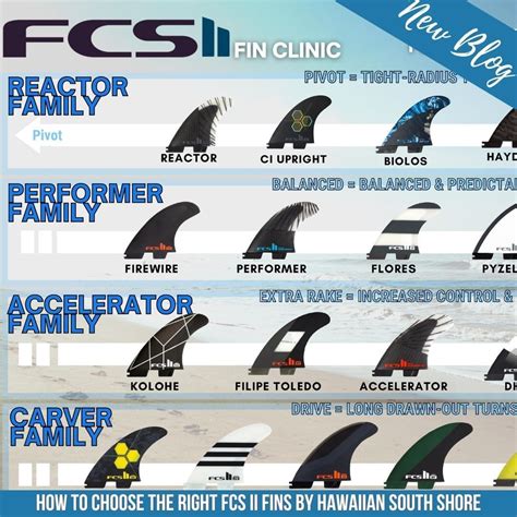 Fcs Ii Fin Clinic By Hawaiian South Shore While Much Emphasis Is Put On