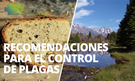 Recomendaciones Para El Control De Plagas Insec