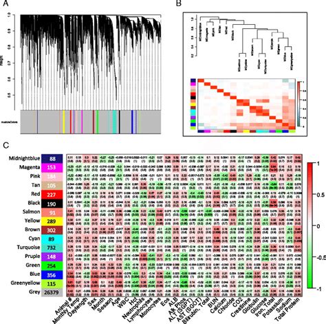 Weighted Gene Expression Co Variance Network Analysis Wgcna