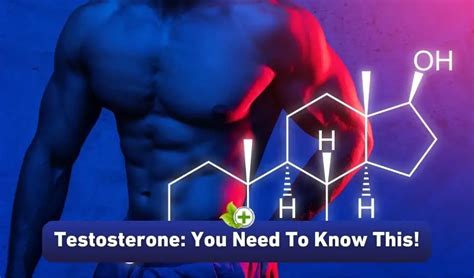 Testosterone You Need To Know This Ulti Health Guide