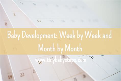 Baby Development: Week by Week and Month by Month