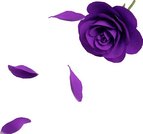 falling violet rose petals 46646892 PNG