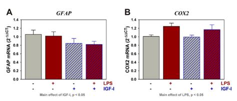 IGF I Decreases The Expression Of GFAP But Not COX2 Steady State MRNA