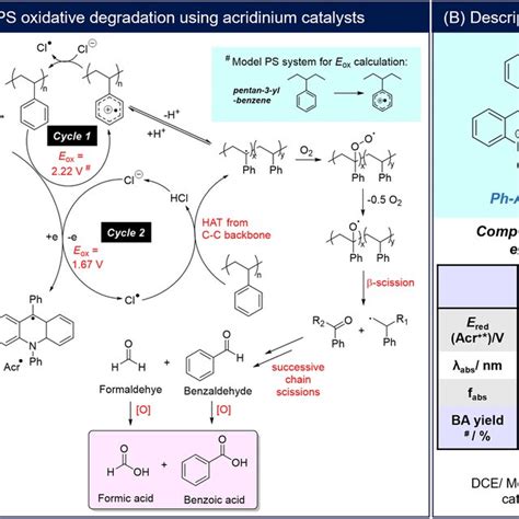 A Proposed Mechanism For Photoredox Catalysed Oxidative Degradation