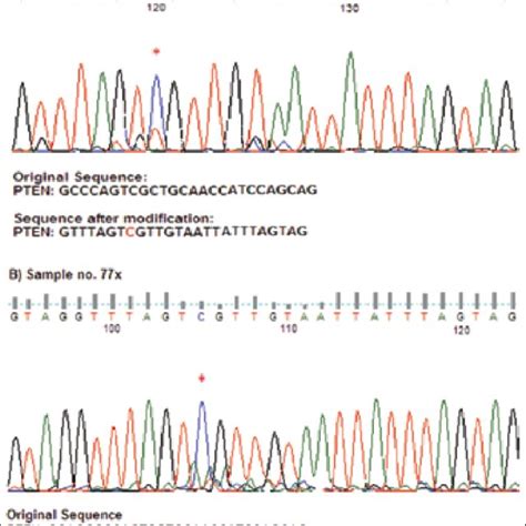 Bisulfite Sequencing Data Of The Pten Promoter Region Of Oral Cancer